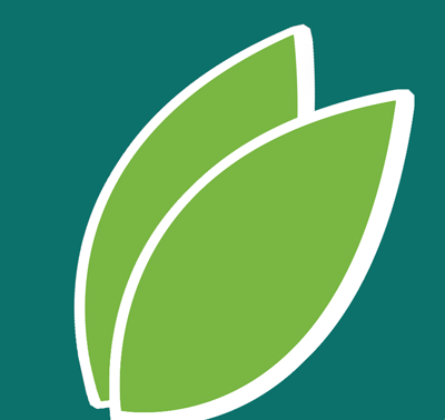 Arbor Vitae | Isle of Wight tree surgeons